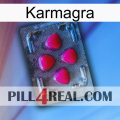 Karmagra 13